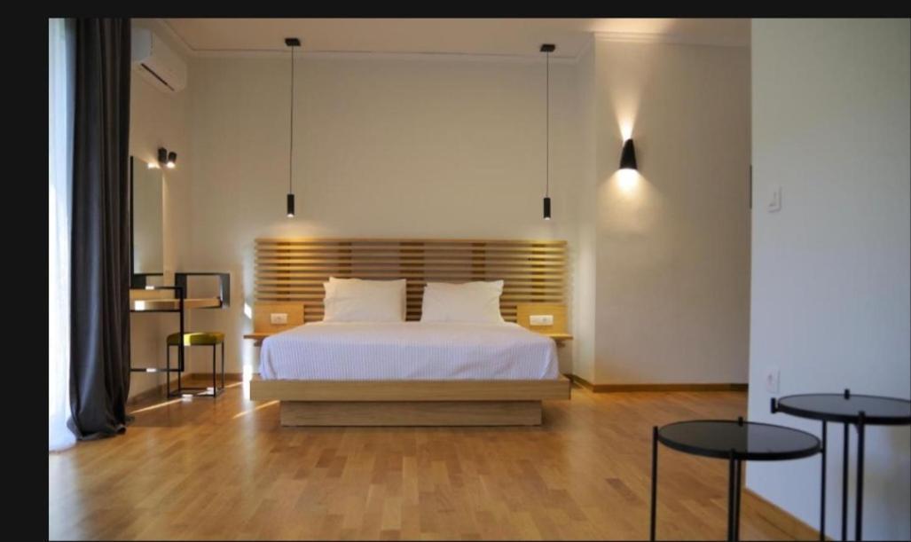 Theoxenia Hotel อันดริตไซนา ภายนอก รูปภาพ
